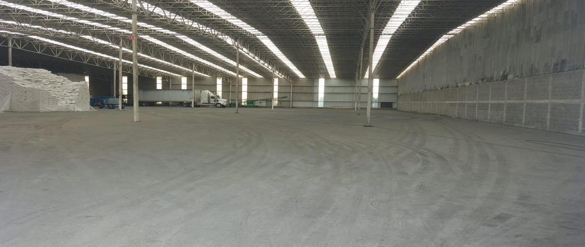 Foto de bodega en , ejido ricardo flores magón, altamira, tamaulipas, 29864257 foto 04 Foto de bodega en renta en , ejido ricardo flores magón, altamira, tamaulipas, 29864257 No. 04
