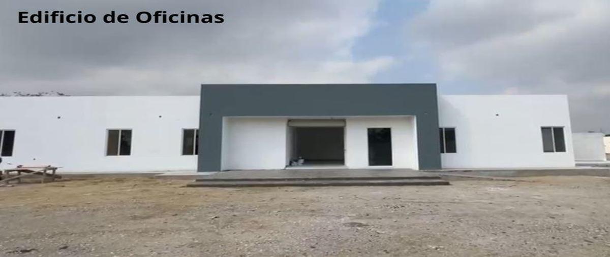 Foto de terreno industrial en renta en  , ejido ricardo flores magón, altamira, tamaulipas, 0 No. 05