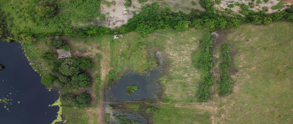 Foto de terreno habitacional en venta en  , ejido ricardo flores magón, altamira, tamaulipas, 30109967 No. 04