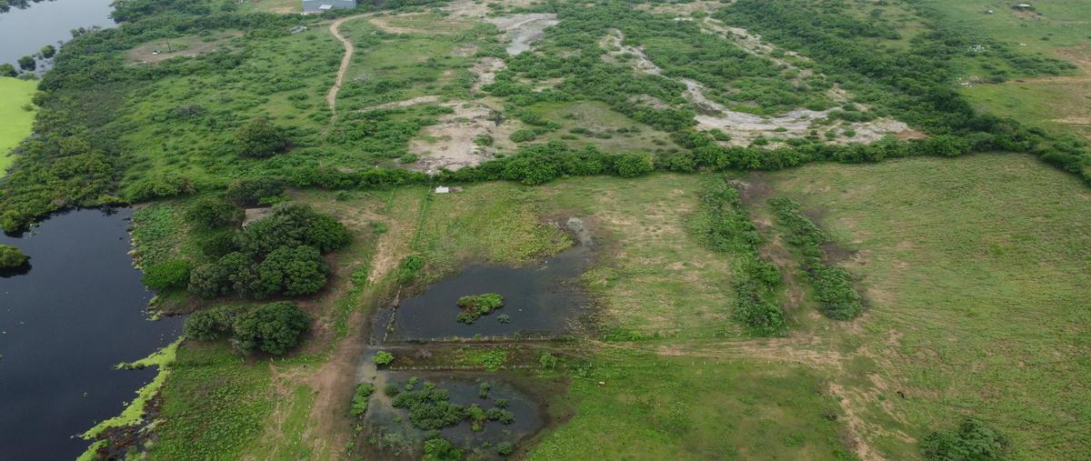 Foto de terreno habitacional en venta en  , ejido ricardo flores magón, altamira, tamaulipas, 30109967 No. 05