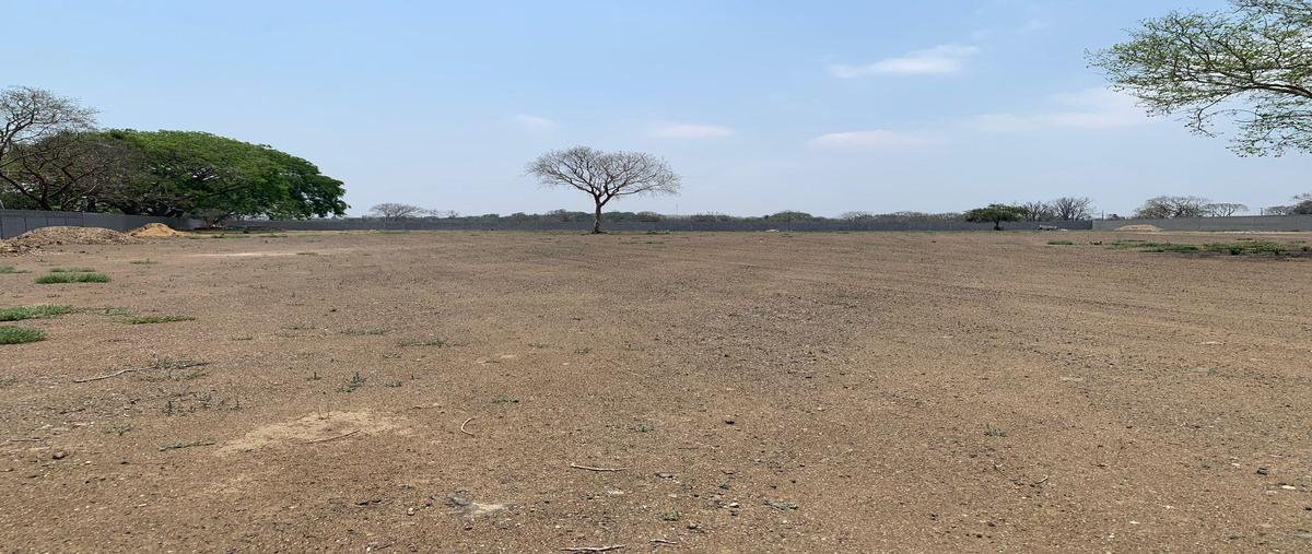 Foto de terreno habitacional en renta en  , ejido ricardo flores magón, altamira, tamaulipas, 0 No. 04
