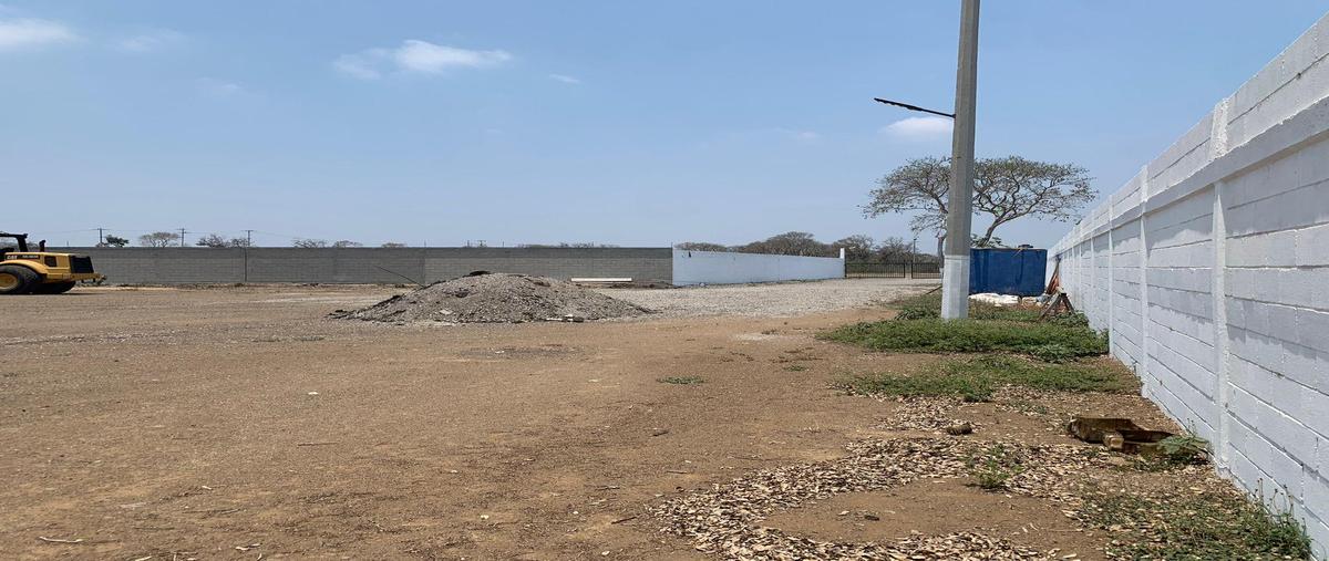 Foto de terreno habitacional en renta en  , ejido ricardo flores magón, altamira, tamaulipas, 0 No. 05