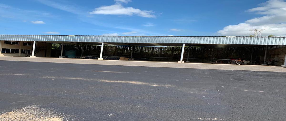 Foto de bodega en renta en  , ejido ricardo flores magón, altamira, tamaulipas, 9876838 No. 02
