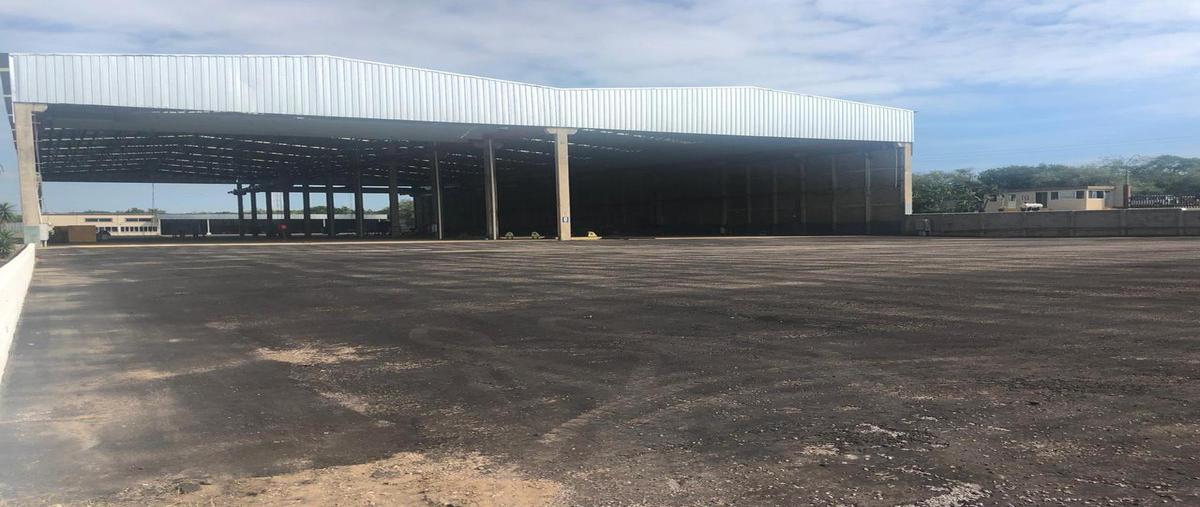 Foto de bodega en renta en  , ejido ricardo flores magón, altamira, tamaulipas, 9876862 No. 02