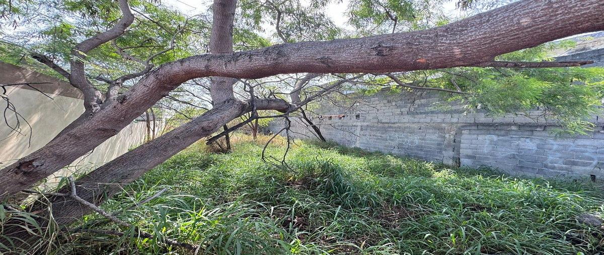 Foto de terreno habitacional en venta en ejido san bernabé , plutarco elías calles, monterrey, nuevo león, 0 No. 05