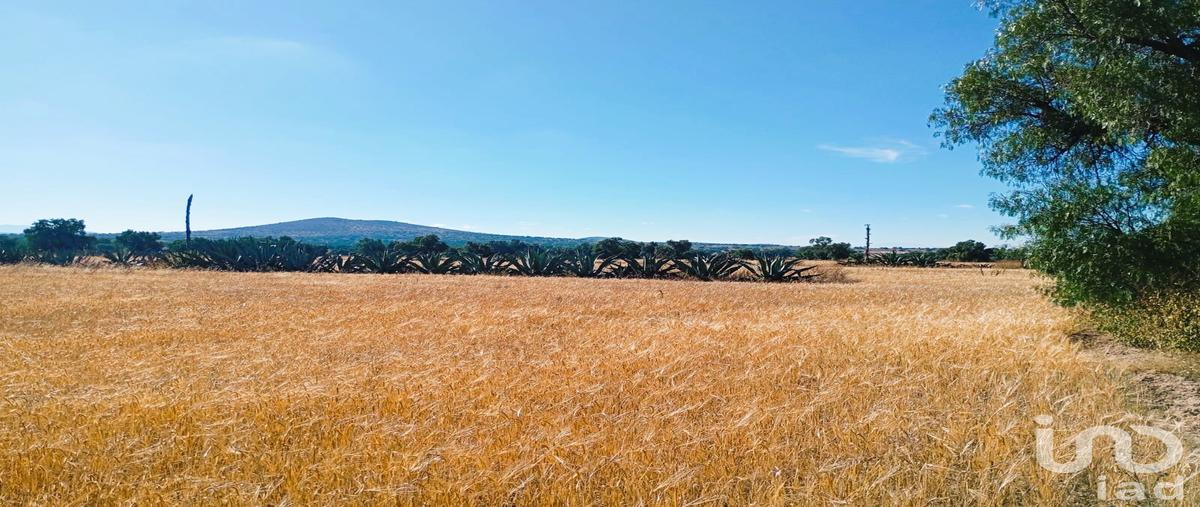 Foto de terreno comercial en venta en ejido san francisco , san francisco, epazoyucan, hidalgo, 30563958 No. 05