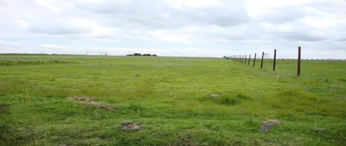 Foto de terreno comercial en venta en ejido san lorenzo , barrio san pedro zona norte, almoloya de juárez, méxico, 0 No. 04