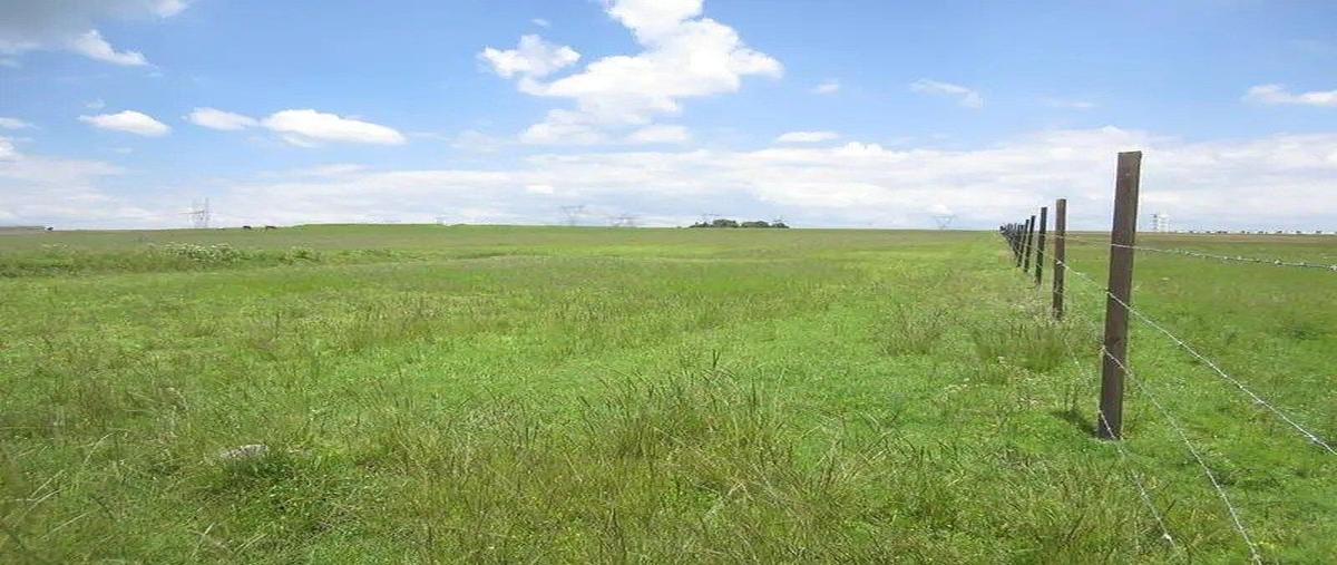 Foto de terreno comercial en venta en ejido san lorenzo , barrio san pedro zona norte, almoloya de juárez, méxico, 0 No. 05