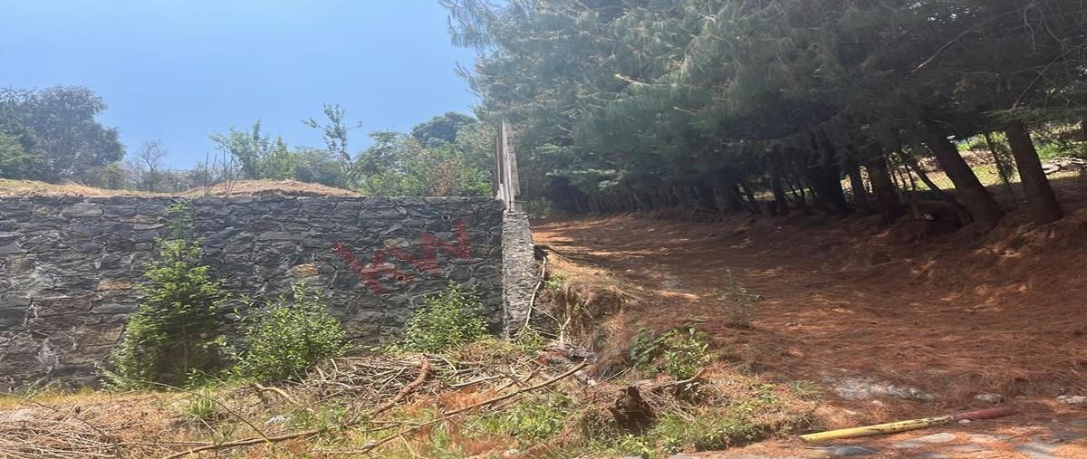 Foto de terreno habitacional en venta en ejido santiago analco , salazar, lerma, méxico, 30178399 No. 05