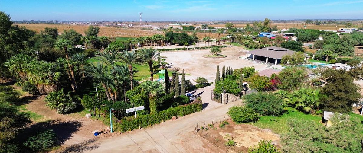 Foto de rancho en venta en ejido tamaulipas , tamaulipas, mexicali, baja california, 28829829 No. 03