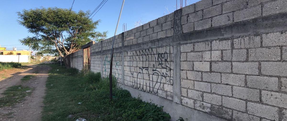 Foto de terreno habitacional en venta en ejido tetelcingo , tetelcingo, cuautla, morelos, 0 No. 05