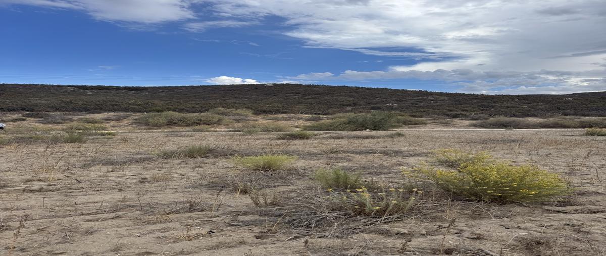 Foto de rancho en venta en ejido uruapan , santo tomas, ensenada, baja california, 0 No. 05