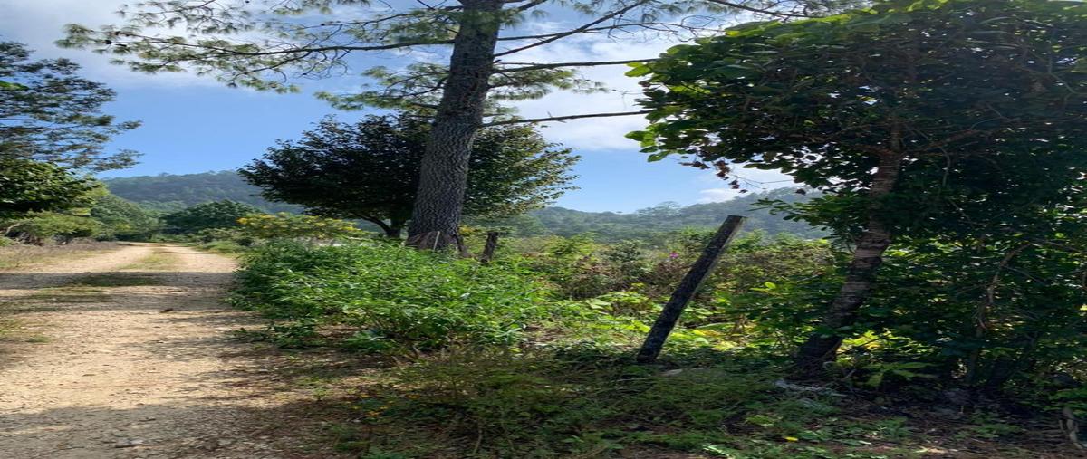 Foto de terreno comercial en venta en ejido villa teopisca , zaragoza, teopisca, chiapas, 18135193 No. 03