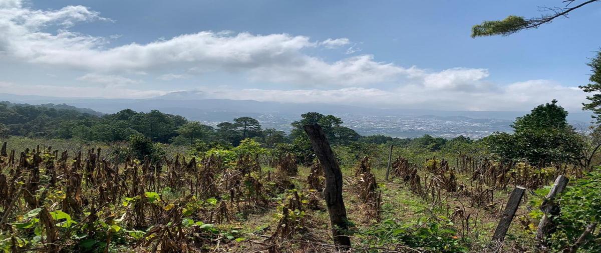 Foto de terreno comercial en venta en ejido villa teopisca , zaragoza, teopisca, chiapas, 18135193 No. 05