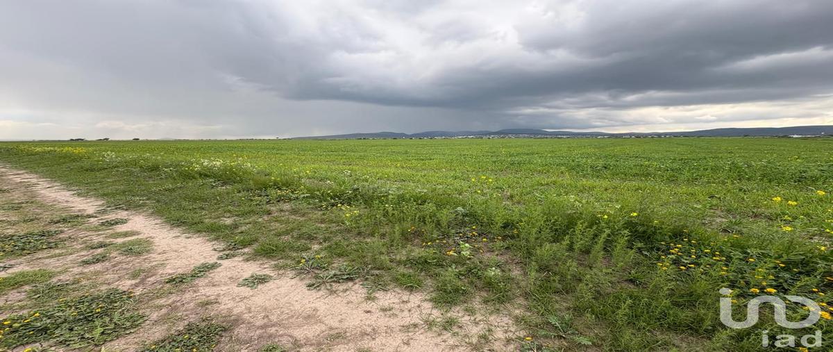 Foto de terreno comercial en venta en ejido zapotlan , san isidro, zapotlán de juárez, hidalgo, 30123923 No. 03