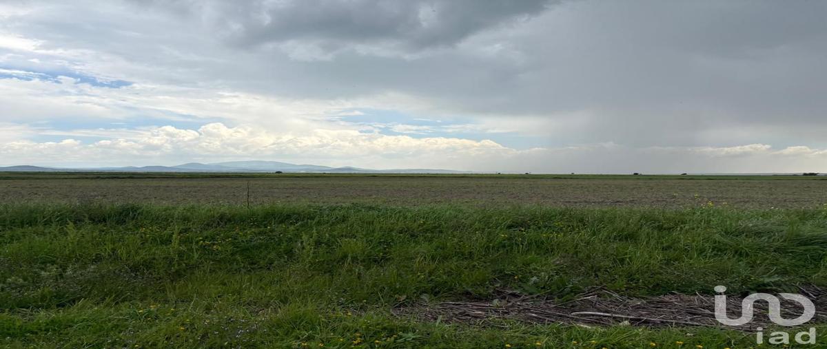 Foto de terreno comercial en venta en ejido zapotlan , san isidro, zapotlán de juárez, hidalgo, 30123923 No. 04