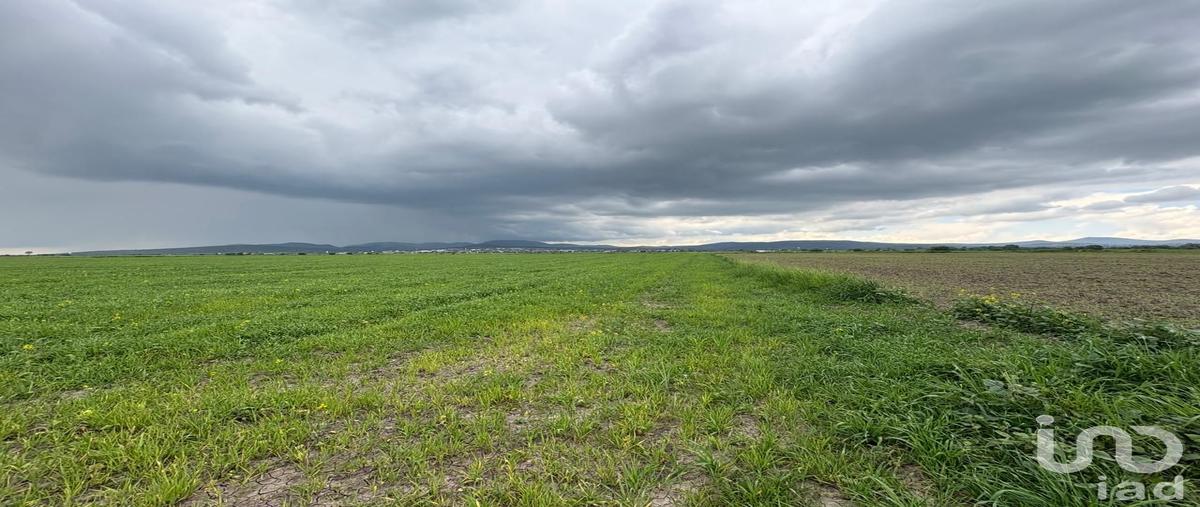 Foto de terreno comercial en venta en ejido zapotlan , san isidro, zapotlán de juárez, hidalgo, 30123923 No. 05
