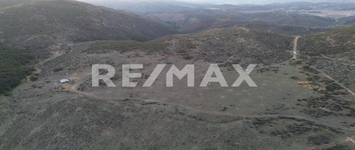 Foto de terreno habitacional en venta en ejido zaragoza , francisco zarco (valle de guadalupe), ensenada, baja california, 30317079 No. 03