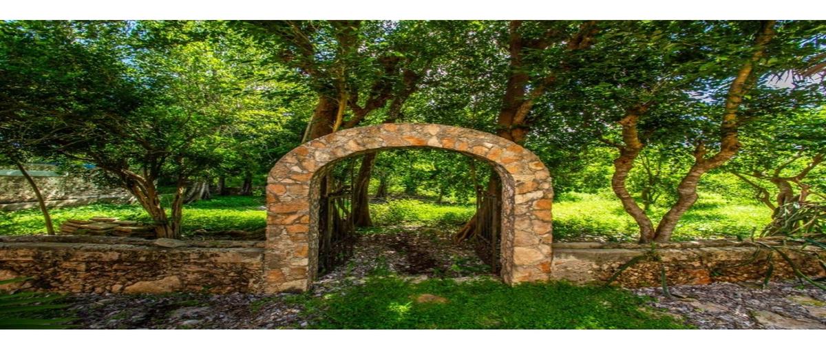 Foto de rancho en venta en  , ekbalam, cansahcab, yucatán, 0 No. 03