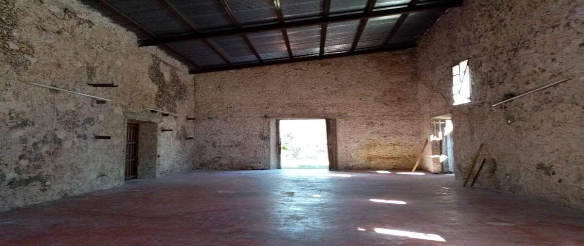 Foto de rancho en venta en  , ekmul, tixkokob, yucatán, 0 No. 03