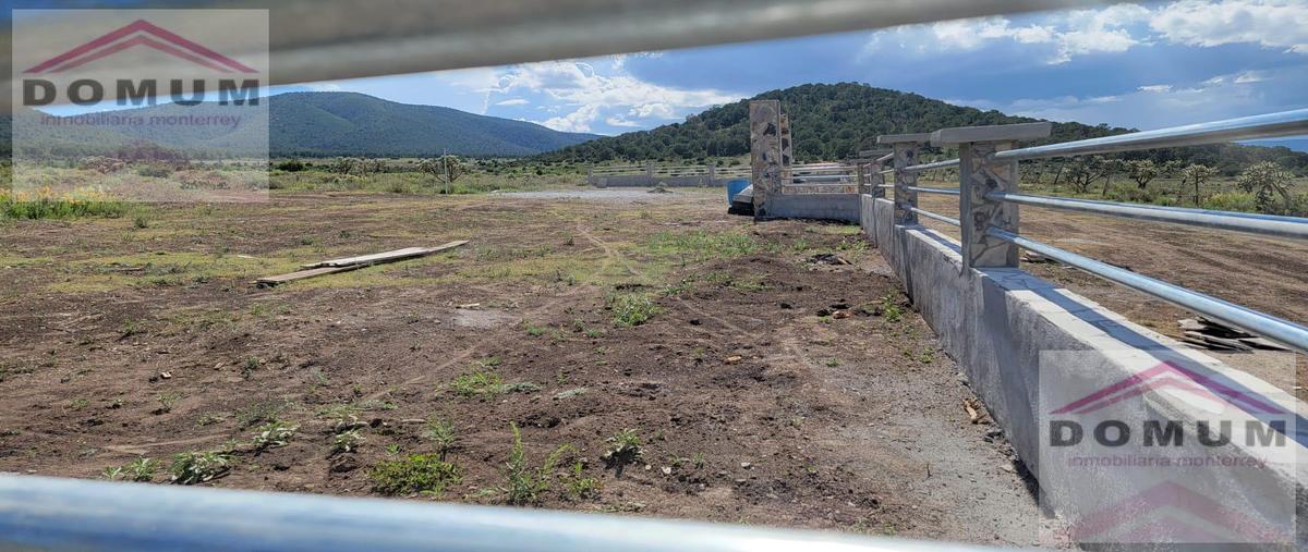 Foto de terreno habitacional en venta en  , el 18 de marzo, arteaga, coahuila de zaragoza, 27901622 No. 04