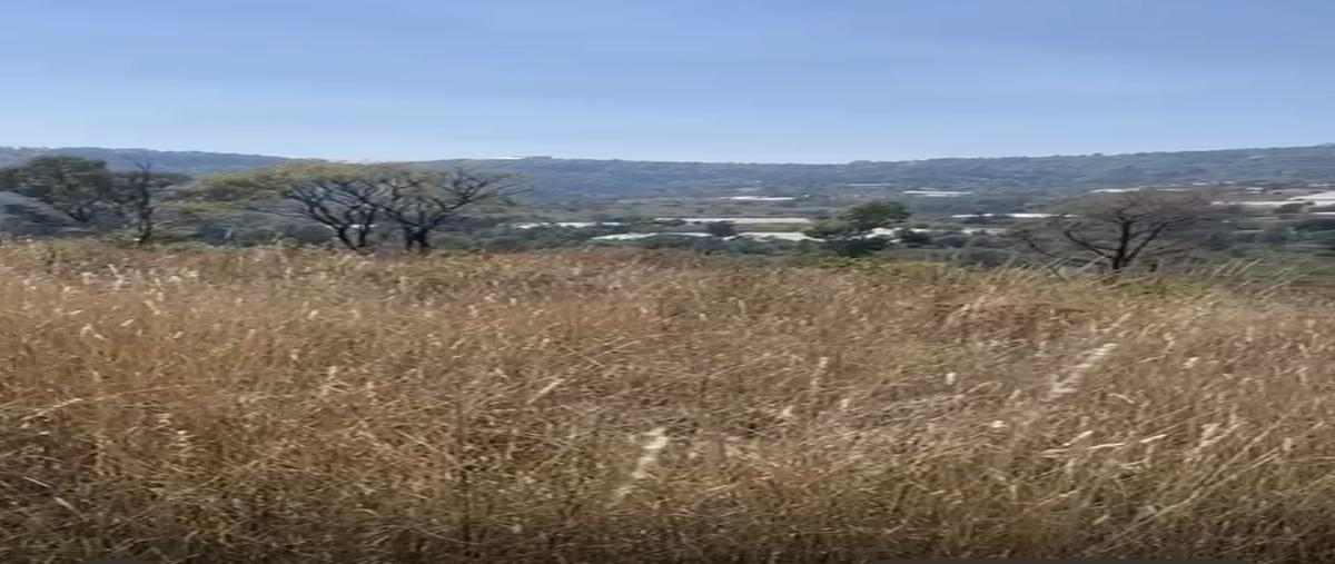 Foto de terreno habitacional en venta en el abrojo , el abrojo, ixtapan de la sal, méxico, 0 No. 04