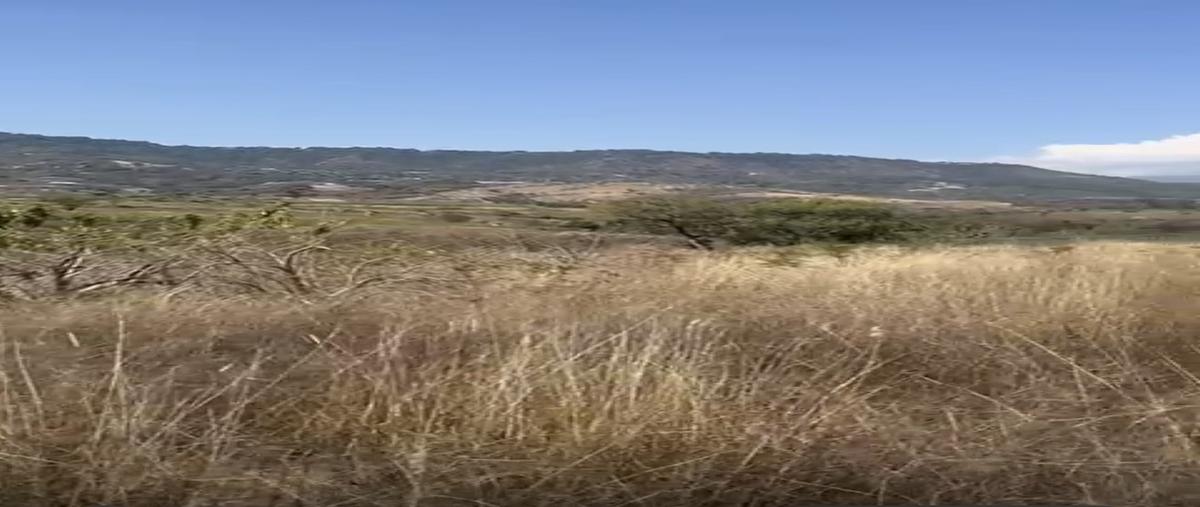 Foto de terreno habitacional en venta en el abrojo , el abrojo, ixtapan de la sal, méxico, 0 No. 05