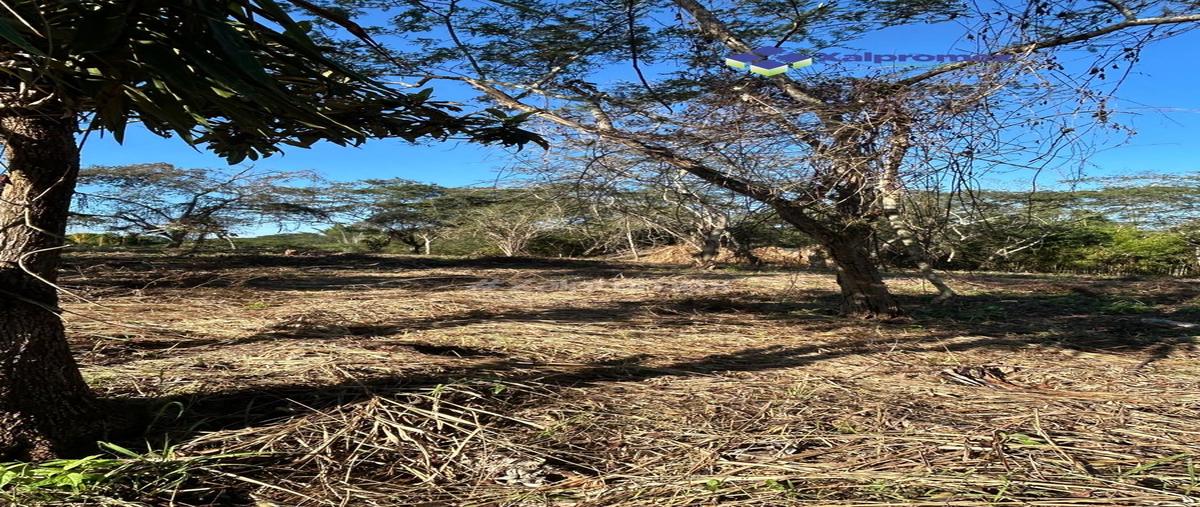 Foto de terreno habitacional en venta en el aguacero , morada del quetzal (tres pasos), emiliano zapata, veracruz de ignacio de la llave, 30656327 No. 03