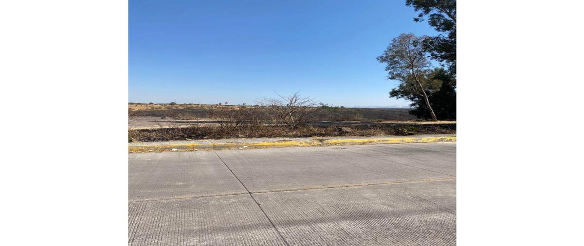 Foto de terreno habitacional en venta en  , el aguaje, la piedad, michoacán de ocampo, 26183436 No. 05