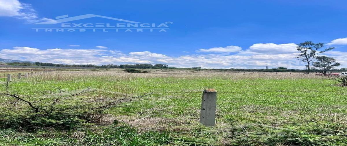 Foto de terreno habitacional en el aguaje , santiago undameo, morelia, michoacán de ocampo, 0 foto 04 Foto de terreno habitacional en venta en el aguaje , santiago undameo, morelia, michoacán de ocampo, 0 No. 04