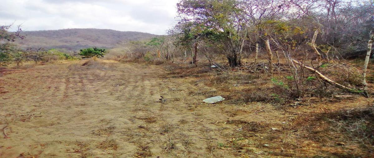 Foto de terreno habitacional en venta en el ahuilote , tomatlan, tomatlán, jalisco, 0 No. 05