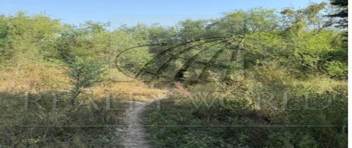 Foto de terreno habitacional en venta en  , el alamito, cadereyta jiménez, nuevo león, 31026661 No. 03