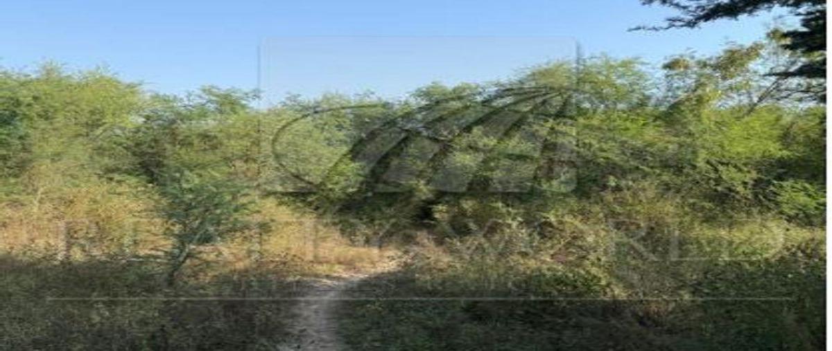 Foto de terreno habitacional en venta en  , el alamito, cadereyta jiménez, nuevo león, 31026661 No. 04