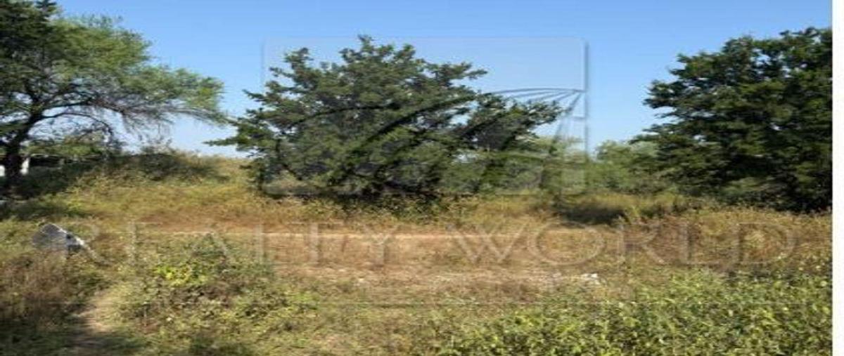 Foto de terreno habitacional en venta en  , el alamito, cadereyta jiménez, nuevo león, 31026663 No. 03