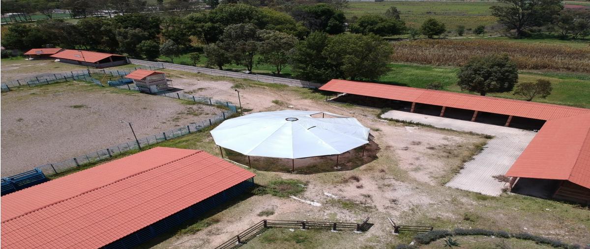 Foto de rancho en venta en  , el álamo, polotitlán, méxico, 0 No. 03