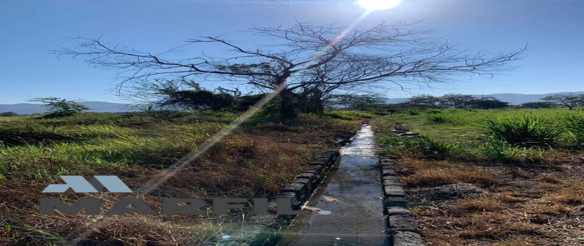 Foto de terreno habitacional en venta en  , el alpuyequito, colima, colima, 0 No. 03