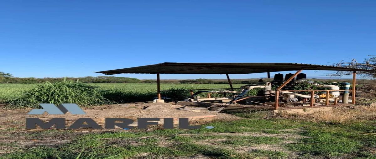 Foto de terreno habitacional en venta en  , el alpuyequito, colima, colima, 0 No. 04