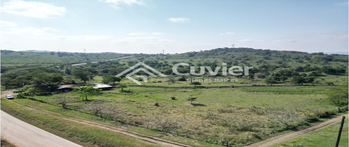 Foto de rancho en venta en  , el alto, tempoal, veracruz de ignacio de la llave, 0 No. 05