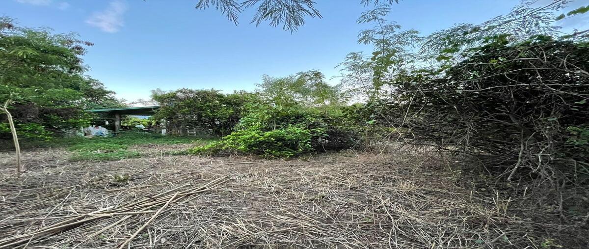Foto de terreno habitacional en venta en  , el amatal, chiapa de corzo, chiapas, 0 No. 03
