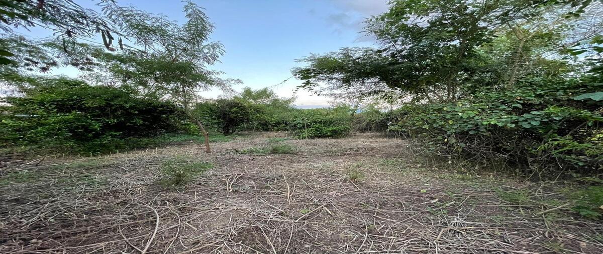Foto de terreno habitacional en venta en  , el amatal, chiapa de corzo, chiapas, 0 No. 04