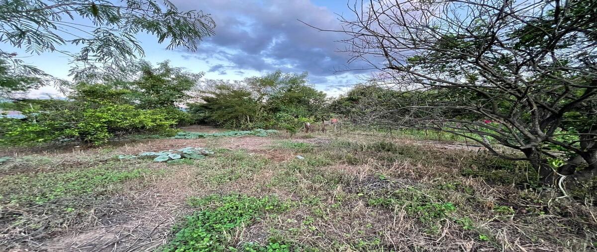 Foto de terreno habitacional en venta en  , el amatal, chiapa de corzo, chiapas, 0 No. 05