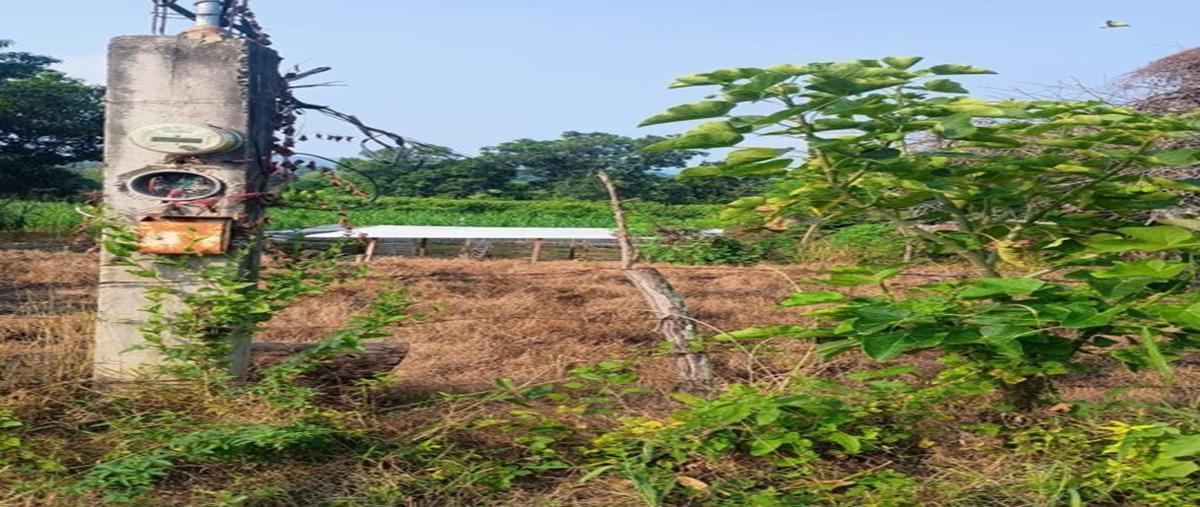 Foto de terreno habitacional en venta en  , el amatal, chiapa de corzo, chiapas, 0 No. 04