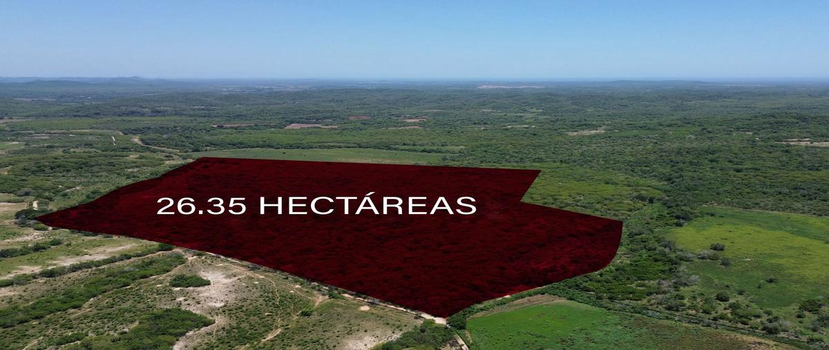 Foto de terreno comercial en venta en el amole , el quelite, mazatlán, sinaloa, 30531028 No. 03