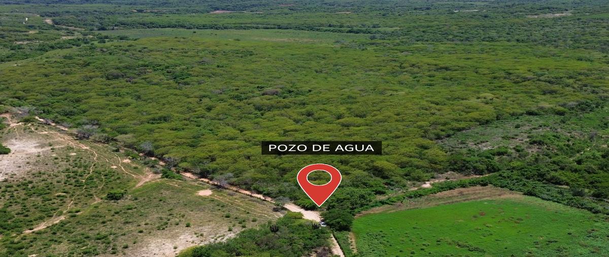 Foto de terreno comercial en venta en el amole , el quelite, mazatlán, sinaloa, 30531028 No. 04
