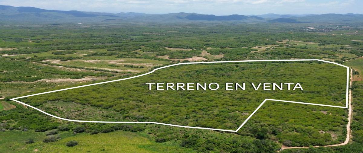 Foto de terreno comercial en venta en el amole , el quelite, mazatlán, sinaloa, 30531028 No. 05