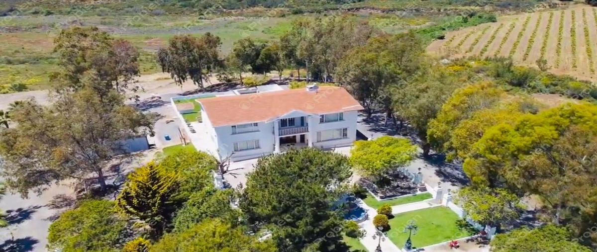 Foto de terreno habitacional en venta en el arabe , francisco zarco (valle de guadalupe), ensenada, baja california, 0 No. 03