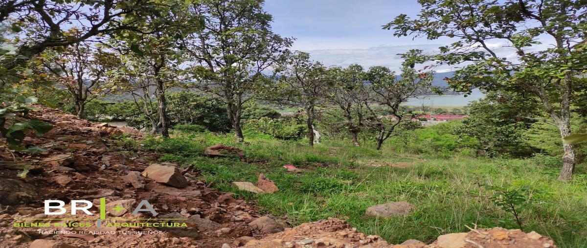 Foto de terreno habitacional en venta en el arco, valle de bravo, estado de méxico , el arco, valle de bravo, méxico, 25134314 No. 04
