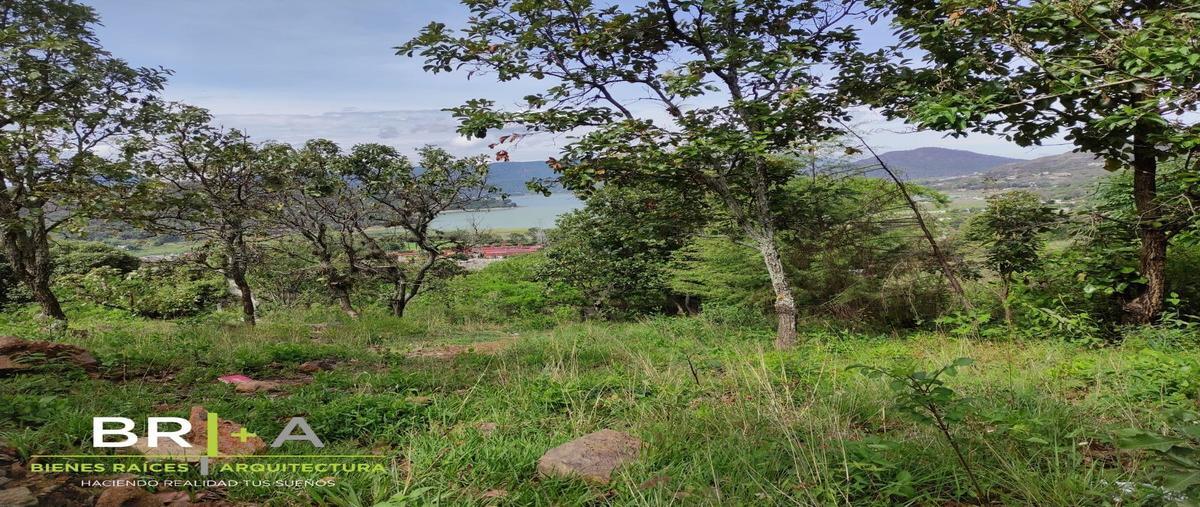 Foto de terreno habitacional en venta en  , el arco, valle de bravo, méxico, 26064302 No. 05