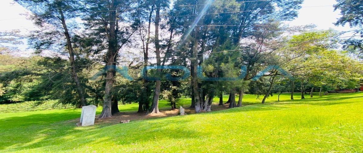 Foto de terreno habitacional en venta en  , el arco, valle de bravo, méxico, 0 No. 05