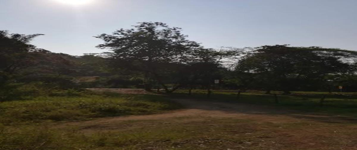 Foto de terreno habitacional en venta en  , el arenal, coatepec, veracruz de ignacio de la llave, 7016395 No. 03